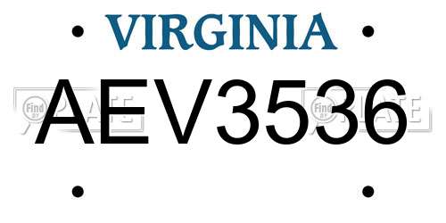 AEV3536 Virginia License Plate
