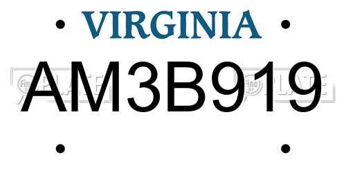 AM3B919 Virginia License Plate