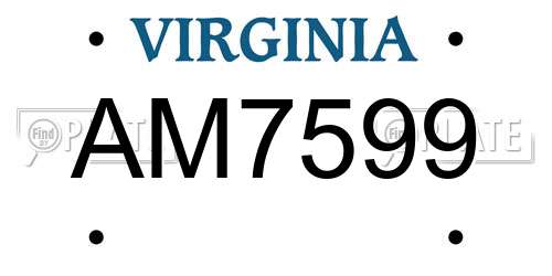 AM7599 Virginia License Plate