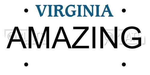 AMAZING Virginia License Plate