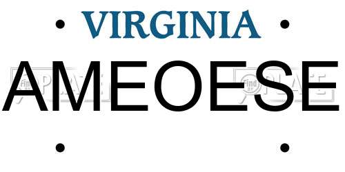 AMEOESE Virginia License Plate