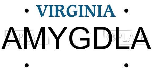 AMYGDLA Virginia License Plate