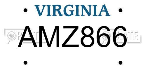 AMZ866 Virginia License Plate