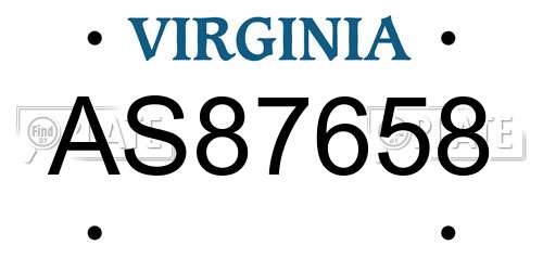 AS87658 Virginia License Plate