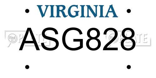 ASG828 Virginia License Plate