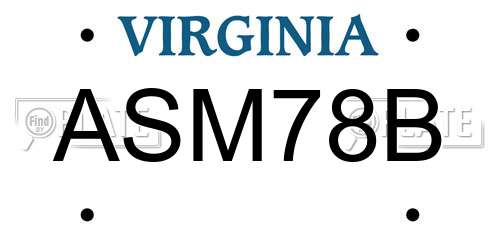 ASM78B Virginia License Plate