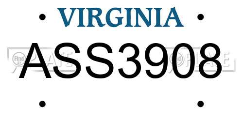 ASS3908 Virginia License Plate