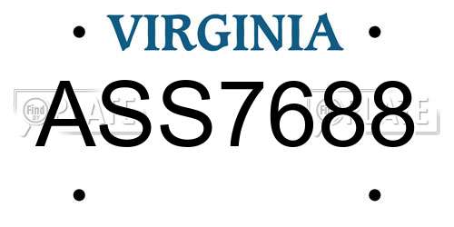 ASS7688 Virginia License Plate