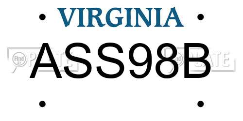 ASS98B Virginia License Plate