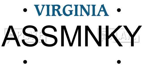 ASSMNKY Virginia License Plate