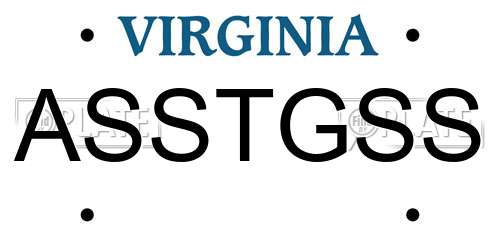 ASSTGSS Virginia License Plate