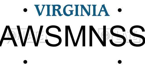 AWSMNSS Virginia License Plate