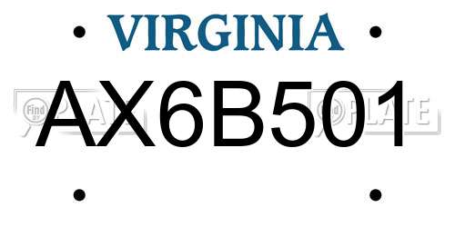 AX6B501 Virginia License Plate