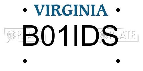 B01IDS Virginia License Plate