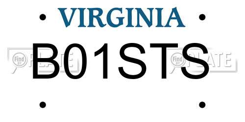 B01STS Virginia License Plate