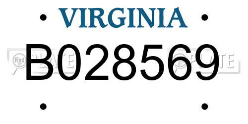 B028569 Virginia License Plate