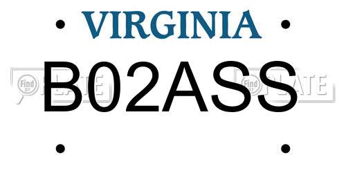 B02ASS Virginia License Plate