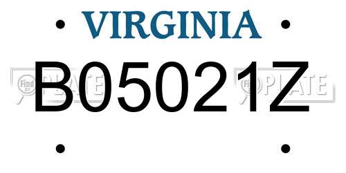 B05021Z Virginia License Plate