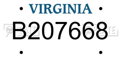 B207668 Virginia License Plate