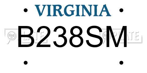 B238SM Virginia License Plate