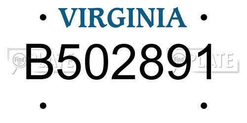 B502891 Virginia License Plate