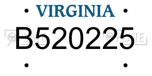B520225 Virginia License Plate