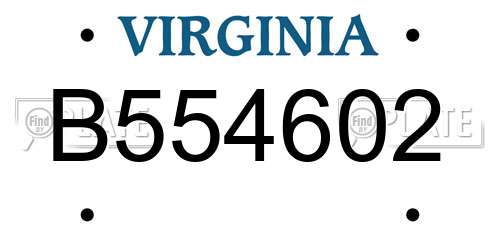 B554602 Virginia License Plate