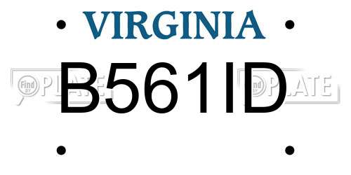 B561ID Virginia License Plate