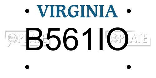 B561IO Virginia License Plate