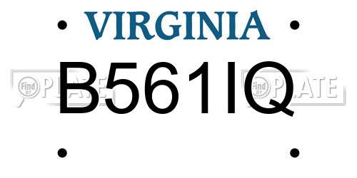 B561IQ Virginia License Plate