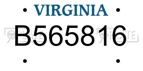 B565816 Virginia License Plate