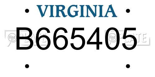 B665405 Virginia License Plate