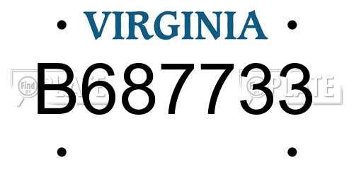 B687733 Virginia License Plate