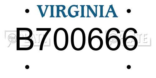 B700666 Virginia License Plate
