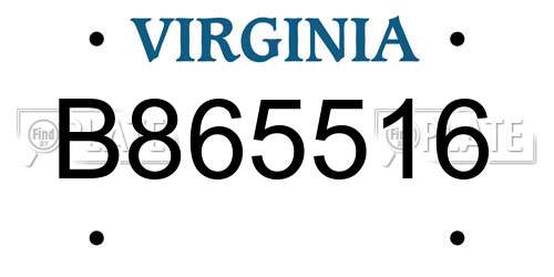 B865516 Virginia License Plate