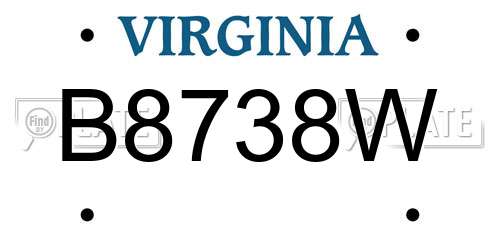 B8738W Virginia License Plate