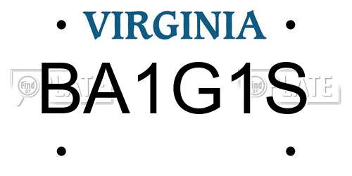 BA1G1S Virginia License Plate
