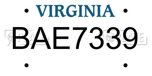 BAE7339 Virginia License Plate