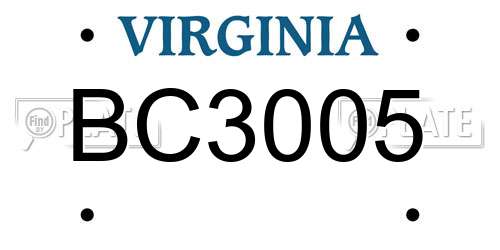 BC3005 Virginia License Plate