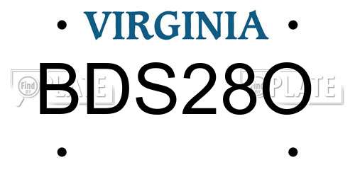BDS28O Virginia License Plate