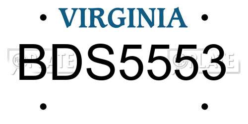 BDS5553 Virginia License Plate