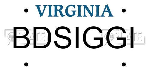 BDSIGGI Virginia License Plate