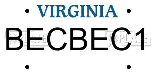 BECBEC1 Virginia License Plate