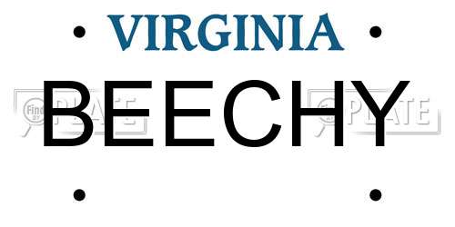 BEECHY Virginia License Plate