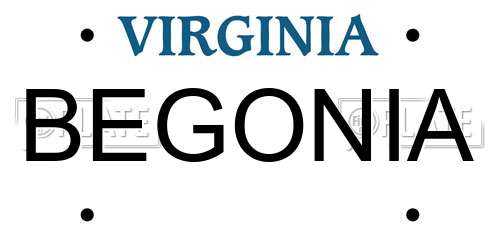 BEGONIA Virginia License Plate