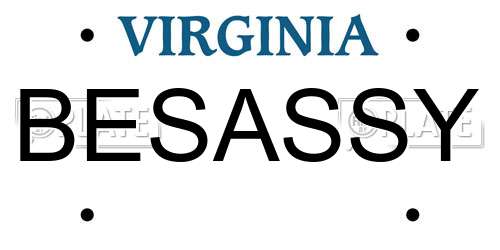 BESASSY Virginia License Plate