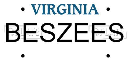 BESZEES Virginia License Plate