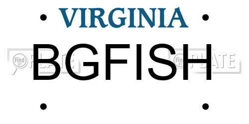 BGFISH Virginia License Plate