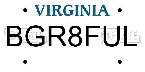 BGR8FUL Virginia License Plate