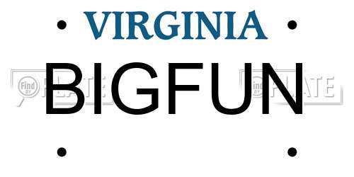 BIGFUN Virginia License Plate